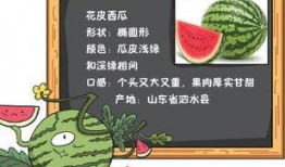 吃瓜致富小说免费阅读,从吃瓜到致富的奇幻之旅